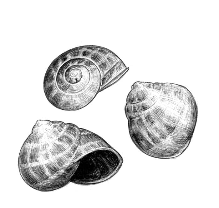 CARGOLADA